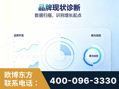 文山-品牌现状诊断