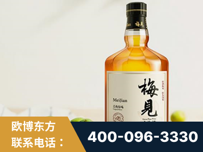 文山-梅见青梅酒